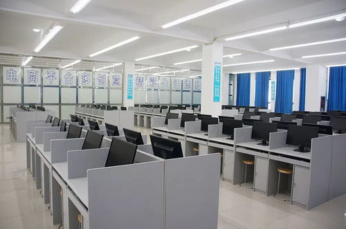 电子商务技术开发 驱动未来商业的核心引擎