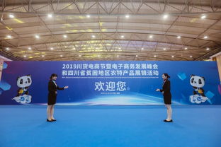 2019川货电商节暨电子商务发展峰会 以技术开发为引擎，推动川货走向世界