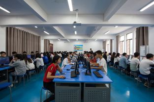 电子商务技术开发 构建现代商业生态的核心引擎